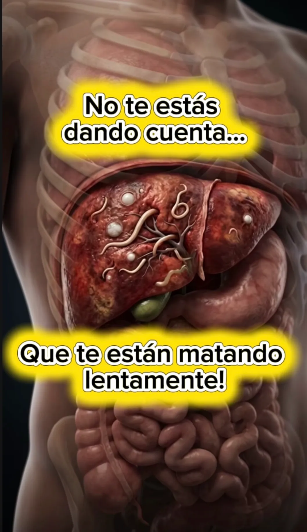 Hígado saturado con toxinas y parásitos
